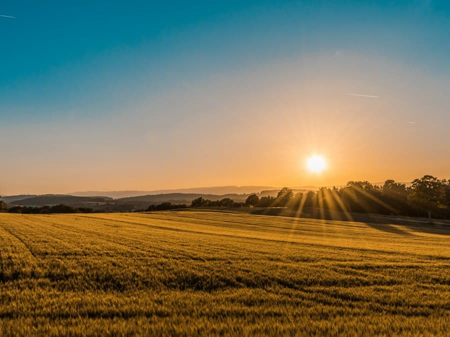 Open land at golden hour