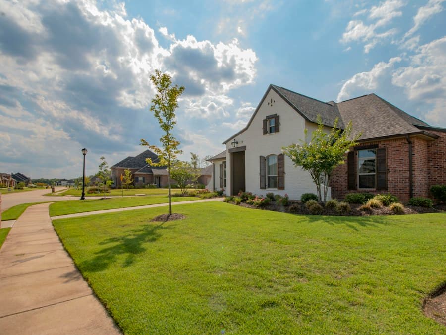 Laid-out residential development with a paved access road